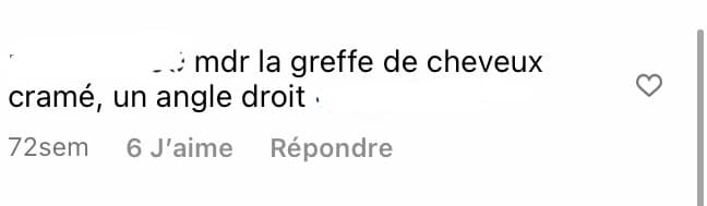 cedric-grolet-greffe-commentaire-1